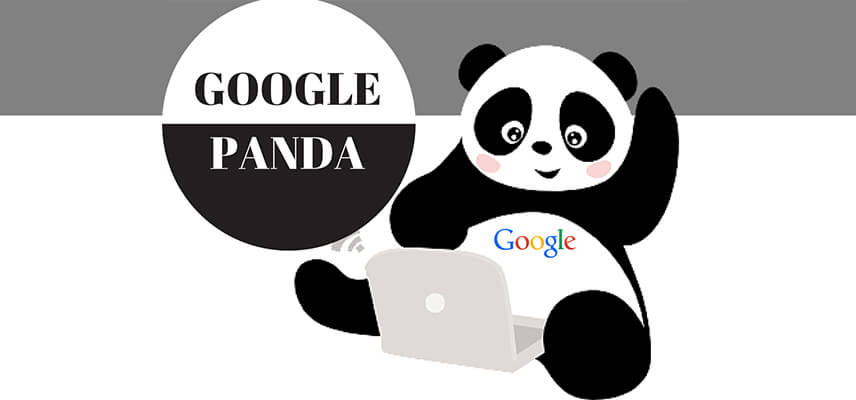  Google Panda