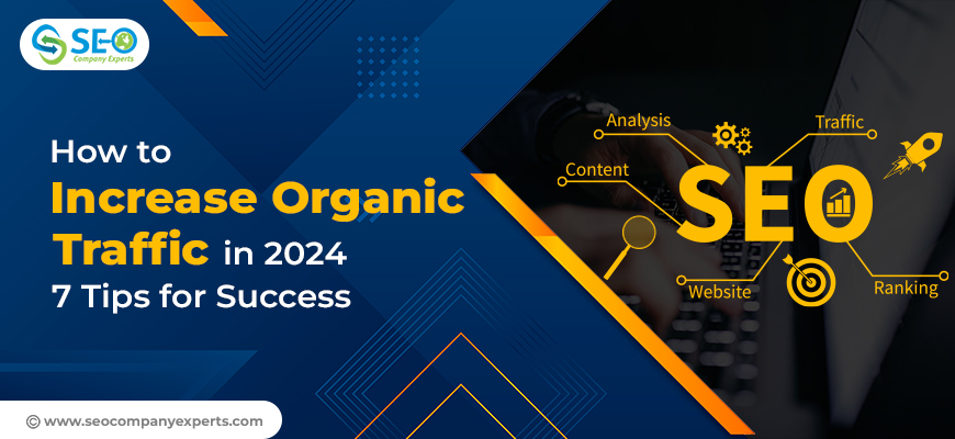 How to Increase Organic Traffic in 2024: 7 Tips for Success